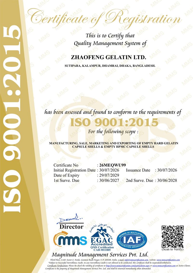 ISO 9001:2015 质量管理体系认证 - 证书 - 关于我们