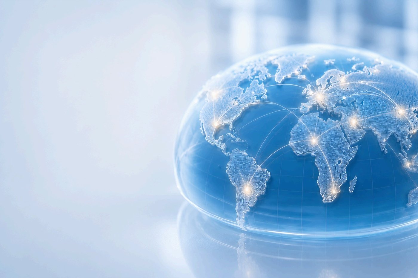 Services & Customer Process
