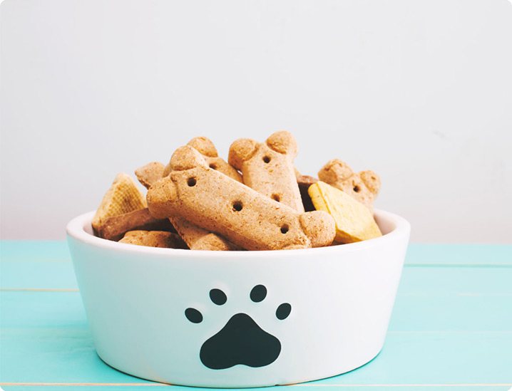 Pet Food
