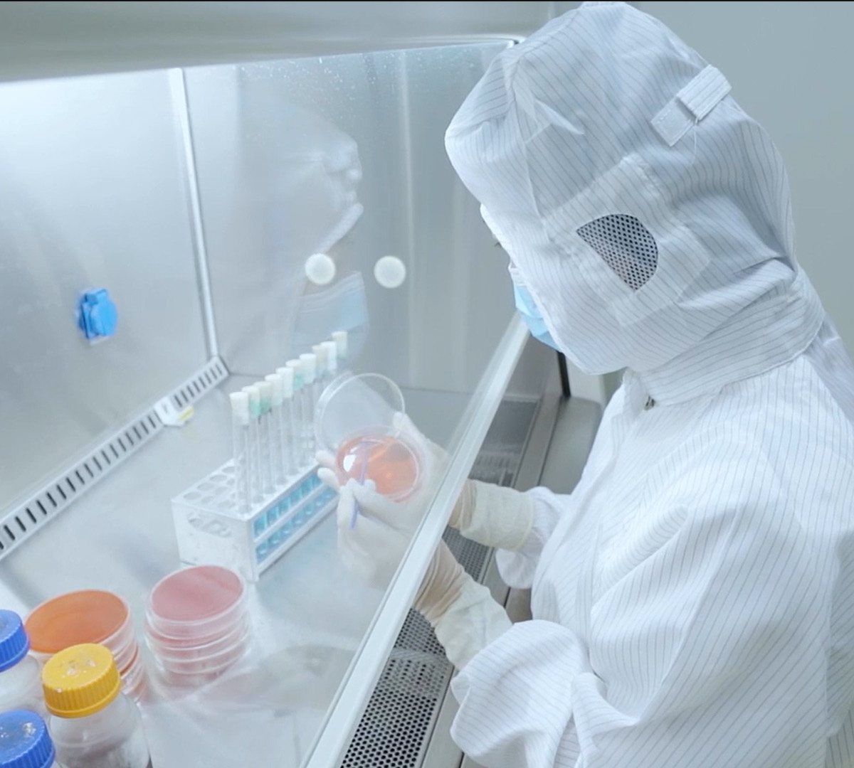 Zhaofeng Hollow Gelatin Capsule Co., Ltd. (ZGL) - Edible & Pharmaceutical Gelatin Manufacturer